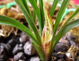 仙到极致的温柔句子 特别温柔治愈的文案