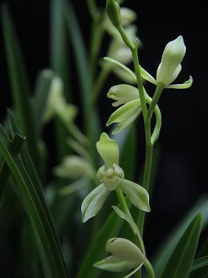 陪伴孩子开心幸福的句子 陪孩子在一起幸福句子