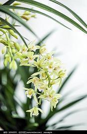 关于糖果开心的句子