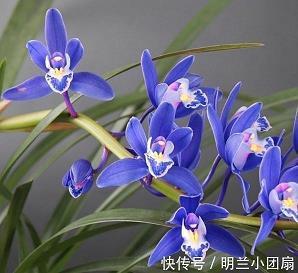 形容夫妻恩爱的句子69句
