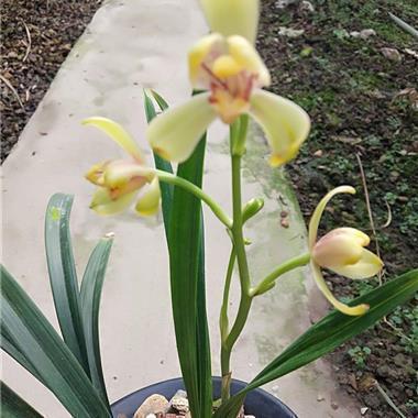 关于珍惜时间的句子58句