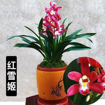 适合旅游配朋友圈说说 国庆旅行发朋友圈的文案(精选59句)