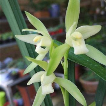 形容对公司的失望的句子