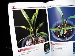 2021最潮的句子抖音