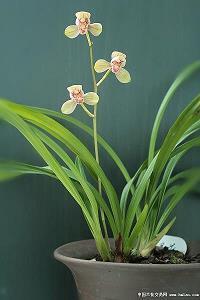 工作上对自己失望的句子