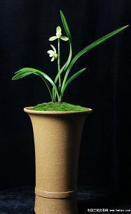 2021元宵节发朋友圈的说说文案