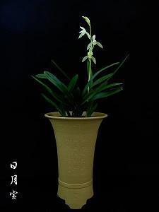 夸女朋友性格的句子