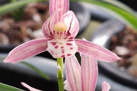 适合心情不好的说说 心情不好怎么发朋友圈合集39句