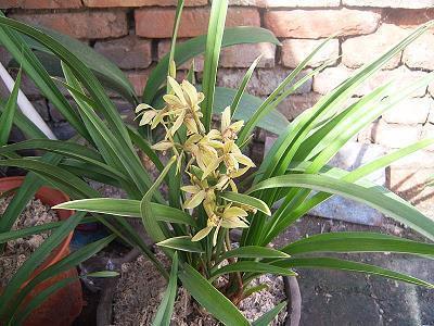 对老公出轨失望心冷的句子情