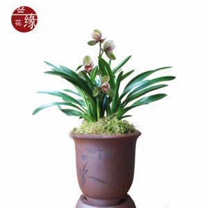 适合下午发的经典说说收集22句