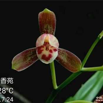 适合一个人奋斗的句子