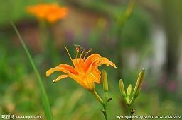 生病了对人失望的句子