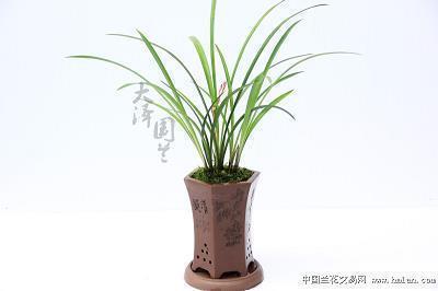 关于遗憾后悔的句子
