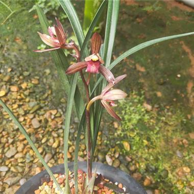 配自己照片的干净短句 适合发自拍的干净短句(精选72句)