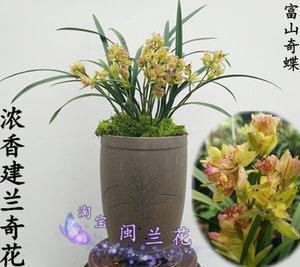经开区形象宣传语：志者善建于此