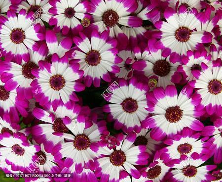 情话最暖心短句 文艺