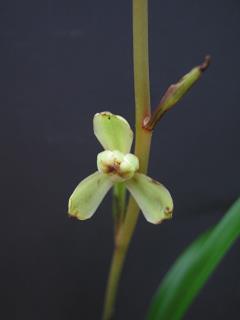 过生日发朋友圈的句子短句(精选34句)