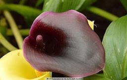 适合十一月发的唯美说说 迎接十一月份励志的句子摘抄11句