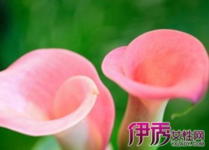 2021全新的早安句子 早安最美一句话汇总60句
