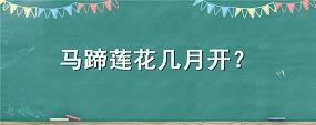 两人相爱珍惜的好句子 珍惜彼此感情的句子短句(精选40句)