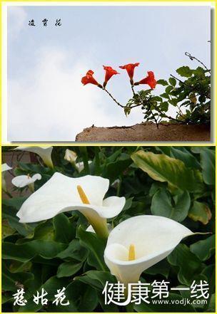 下雨天心情感慨文案短句2021年(精选72句)