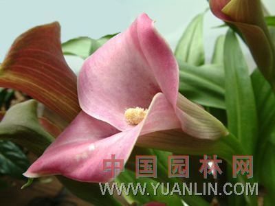 有关于生活的句子说说心情