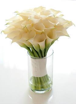 【精选】最心酸委屈伤感的话 突然一刻心酸的句子汇编88句