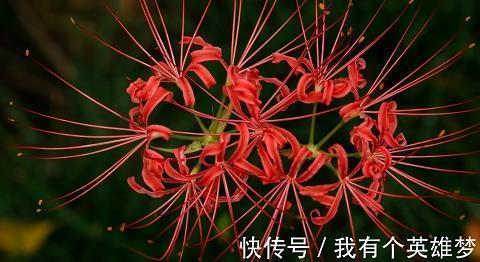 经典伤感语录推荐35句