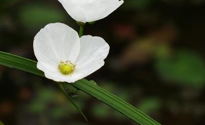 怎样表达伤心朋友圈句子 表示自己很伤心的朋友圈短语