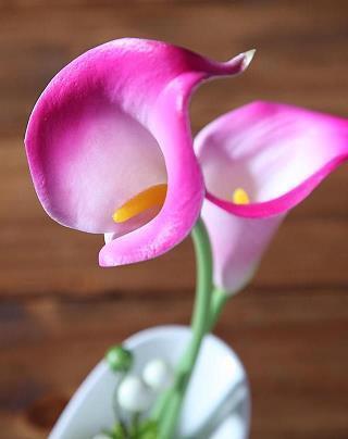 2021劳动节霸气口号句子汇总116句