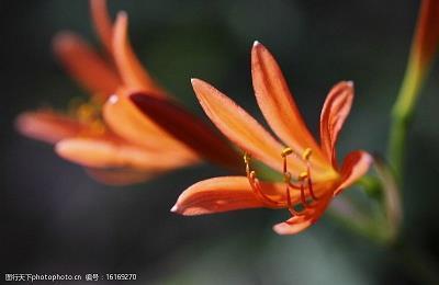 【推荐】2021年谷雨到来的优美寄语推荐97句