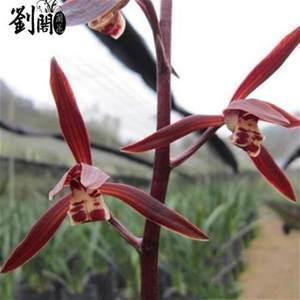 快手说说短语2020 一辈子很短，要学会珍惜和把握