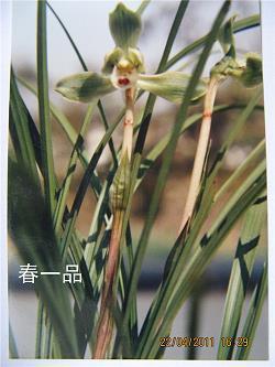 关于走路带风的说说