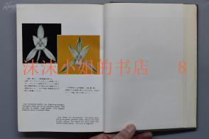 难过却又不想表达的句子
