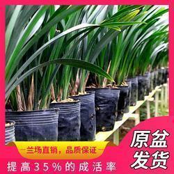 适合夏天发抖音的句子