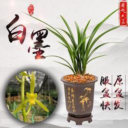对列表所有人说晚安的文案(精选30句)