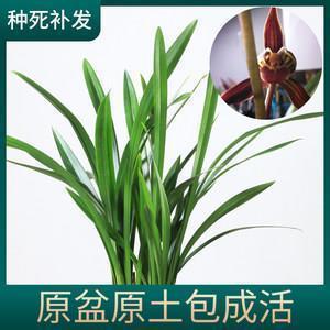 关于诗意唯美句子 文艺范有诗意的句子