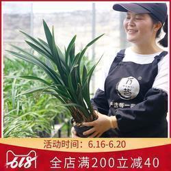 开心又伤感的句子