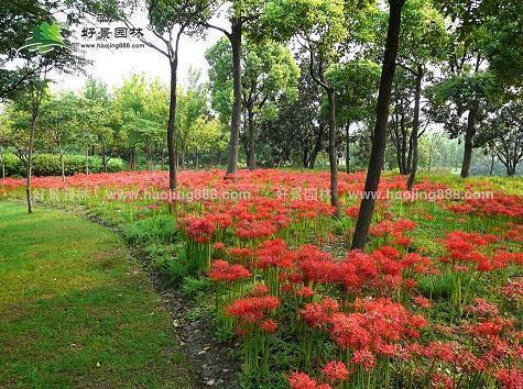 感恩教师的名言(精选72句)