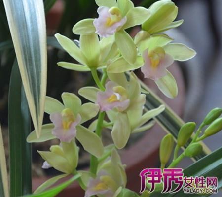 有创意的酒楼宣传广告语