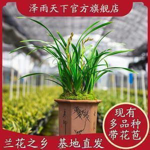 2021天气转凉发朋友圈的说说文案(精选78句)