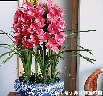 建党100周年朋友圈的温馨文案