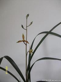 夜景说说心情短语 深夜一人看夜景的说说(精选53句)