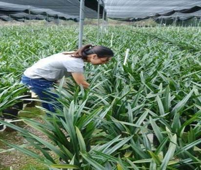 2021秋天的句子唯美短句(精选70句)