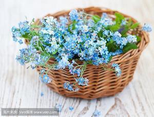 五一劳动节给客户的祝福语问候句子汇编49句