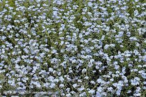 八个字激励短句 激励自己奋斗格言精选80句