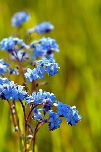 很暖很治愈的文案 朋友圈早安干净短句集锦14句