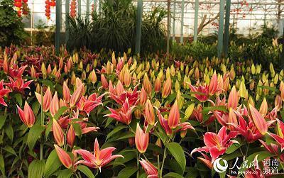 关于秋分时节的经典语录(精选90句)