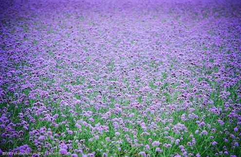 2021父亲节优美的短信祝福语句子汇总106句