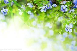 伤感难过的走心短句子大全 心累发朋友圈的唯美句子